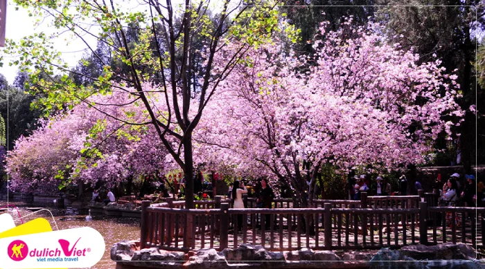 TOUR TRUNG QUỐC MÙA HÈ 4N3Đ | HÀ NỘI - HÀ KHẨU - ĐẠI LÝ - CÔN MINH - HÀ NỘI