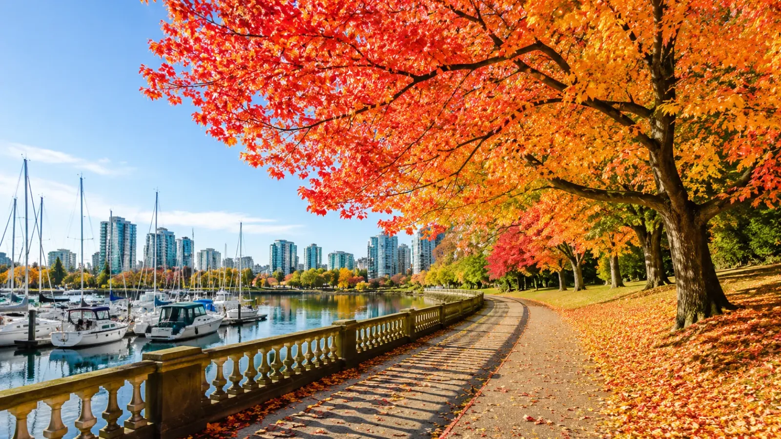 Rừng lá phong đổi màu mùa thu tại Canada