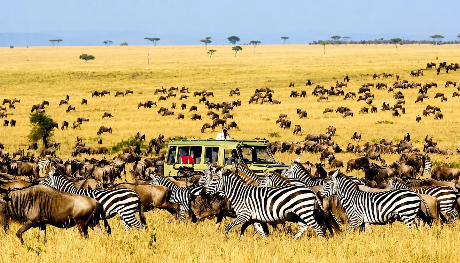 kenya