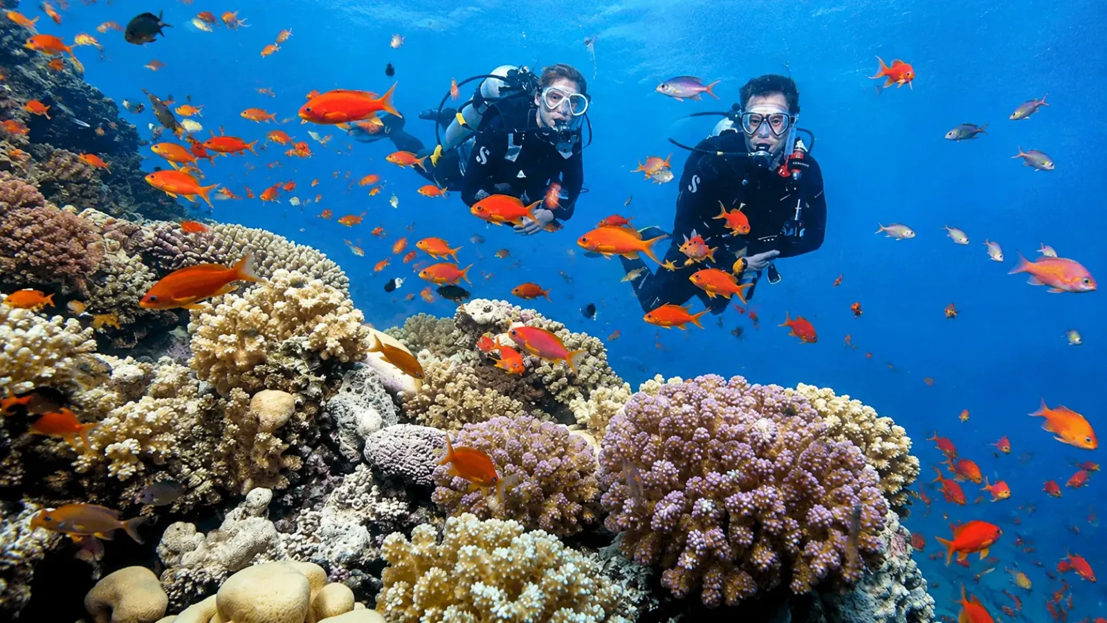 Du khách snorkeling lặn ngắm san hô tại Cù Lao Chàm