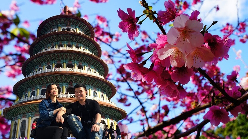 Du lịch Đài Loan mùa hoa Anh Đào: 6 điểm đẹp nhất để đi ngắm