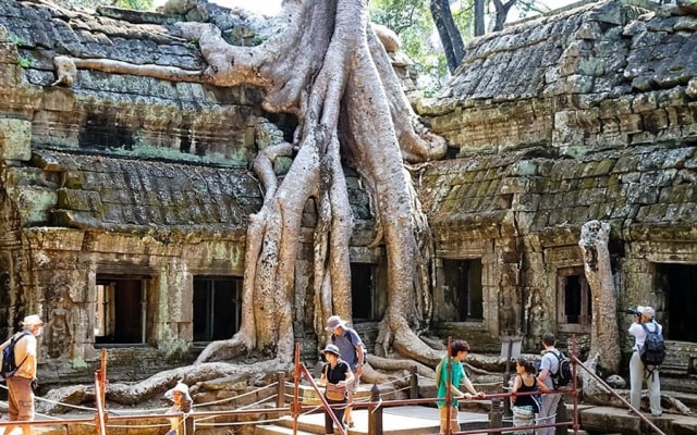 Khám phá đền Ta Prohm Campuchia, ngôi đền bí ẩn với những rễ cây kì dị