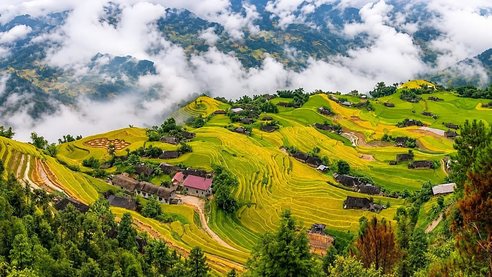 Cảnh sắc mùa thu trên vùng núi Hà Giang