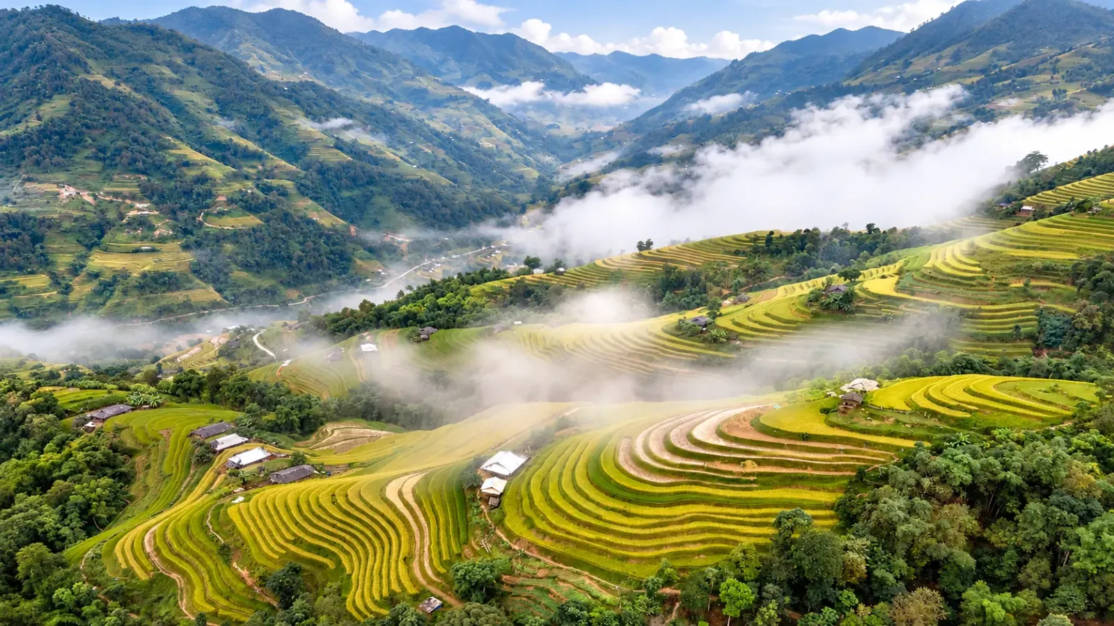 Ruộng bậc thang Hoàng Su Phì là điểm nổi bật trong hành trình săn mùa vàng Hà Giang