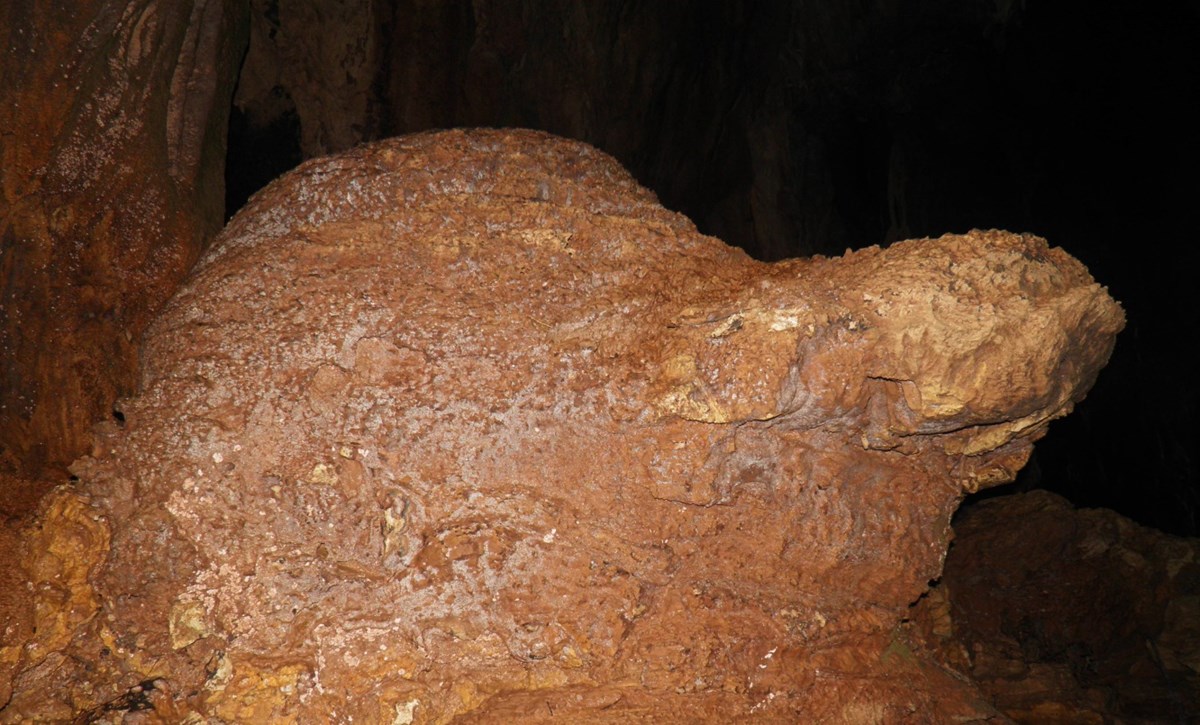 Tour Hạ Long - Hòn đá hình Rùa Vàng im lìm trong Động Kim Quy ngàn năm qua