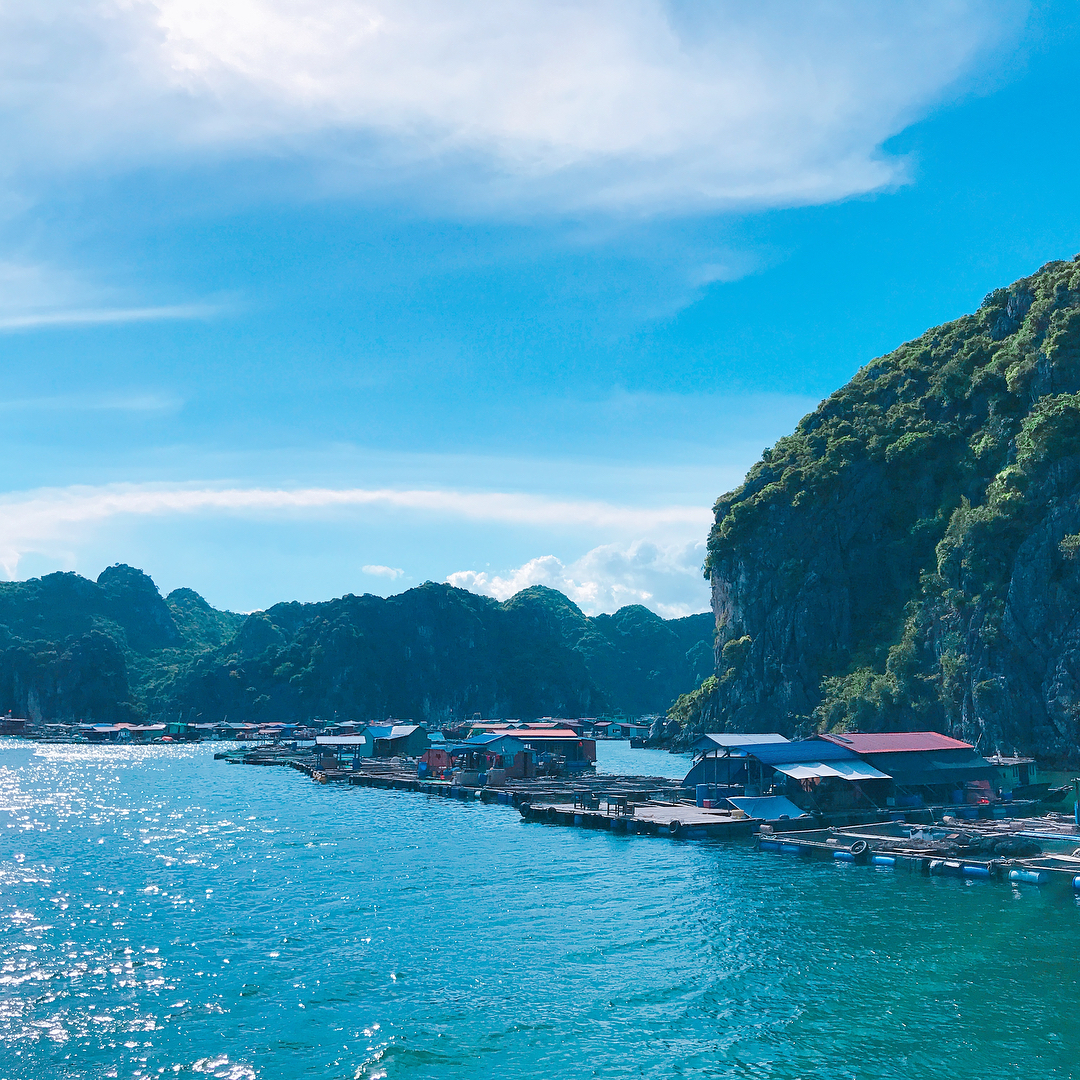 Tour Ha Long - Đảo Titop - Điểm du lịch Hạ Long cho những giây phút “sống ảo” trọn vẹn