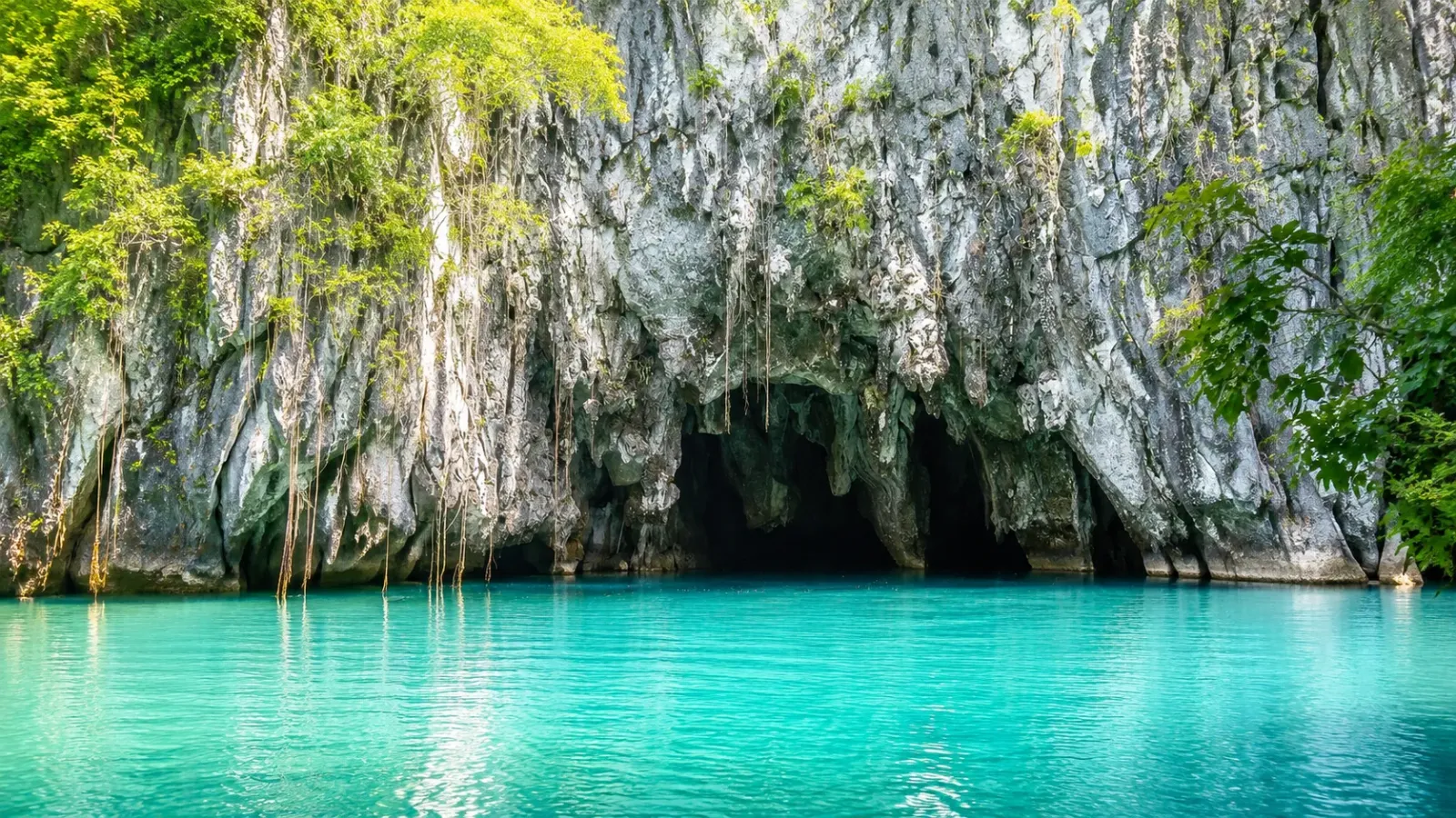 Cảnh quan đảo đá vôi trên Vịnh Hạ Long