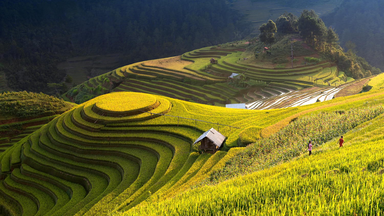 Tour miền Bắc - Du lịch Mai Châu