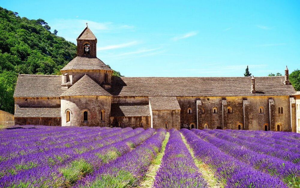 Thành phố Provence nơi sản xuất nước hoa lớn nhất nước Pháp