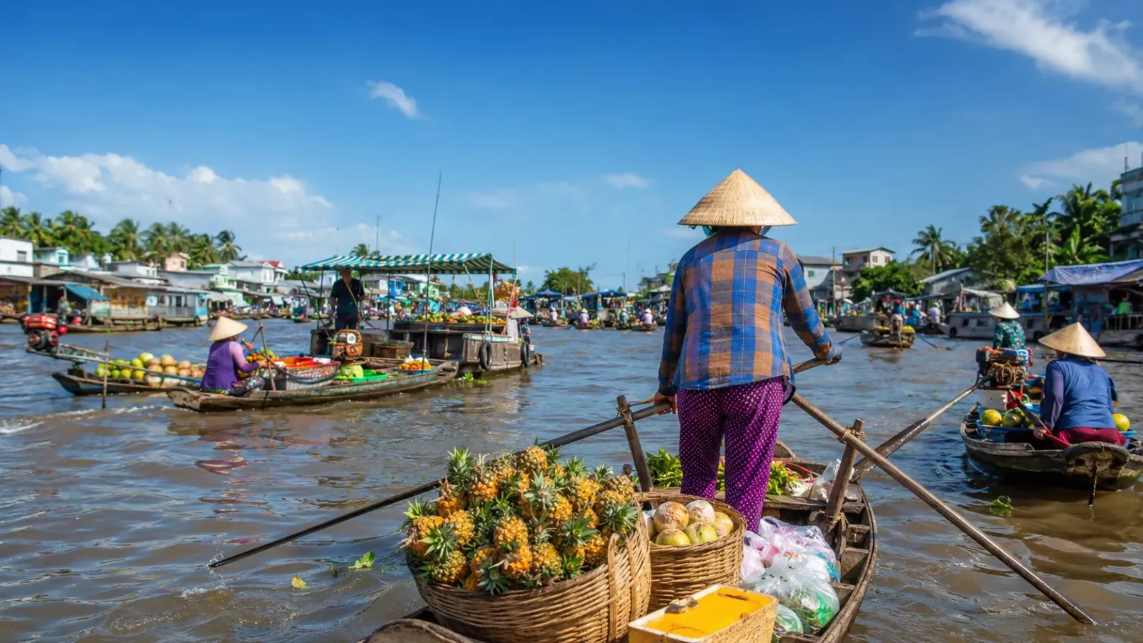 Du khách khám phá cảnh quan sông nước trong tour du lịch Miền Tây