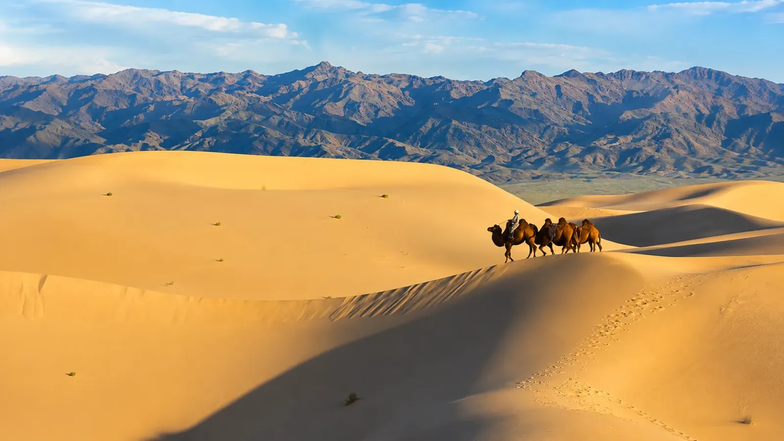 Những cồn cát rộng lớn tại sa mạc Gobi trong tour du lịch Mông Cổ