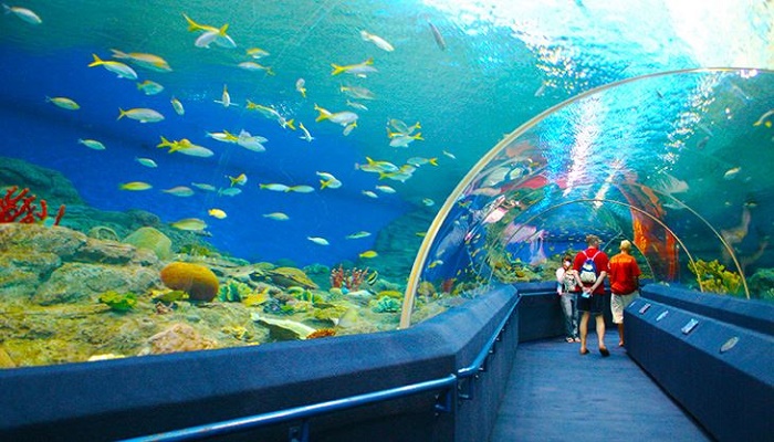 Viện hải dương học Nha Trang là điểm đến được rất nhiều du khách yêu thích đến tham quan