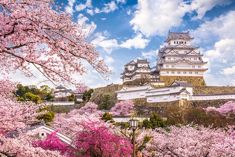 Du lịch Nhật Bản mùa hoa anh đào: Thích thú thăm công viên Nara