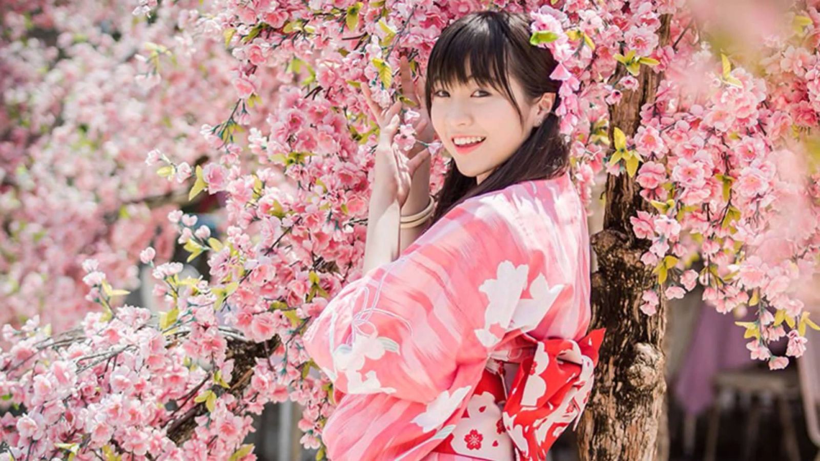Du lịch Nhật Bản thưởng thức đặc sản bò Hida, Kobe, tham quan lễ hội ngắm hoa an