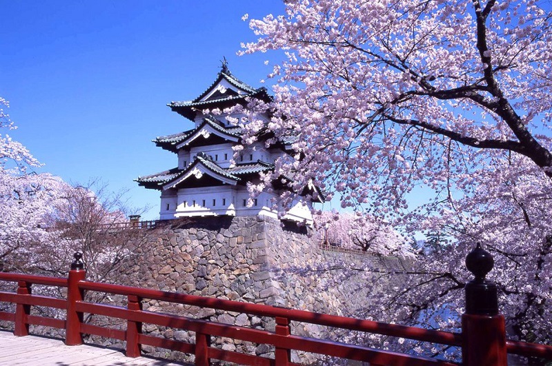 Cẩm nang du lịch Nhật Bản mùa hoa Anh Đào dành cho người đi tự túc