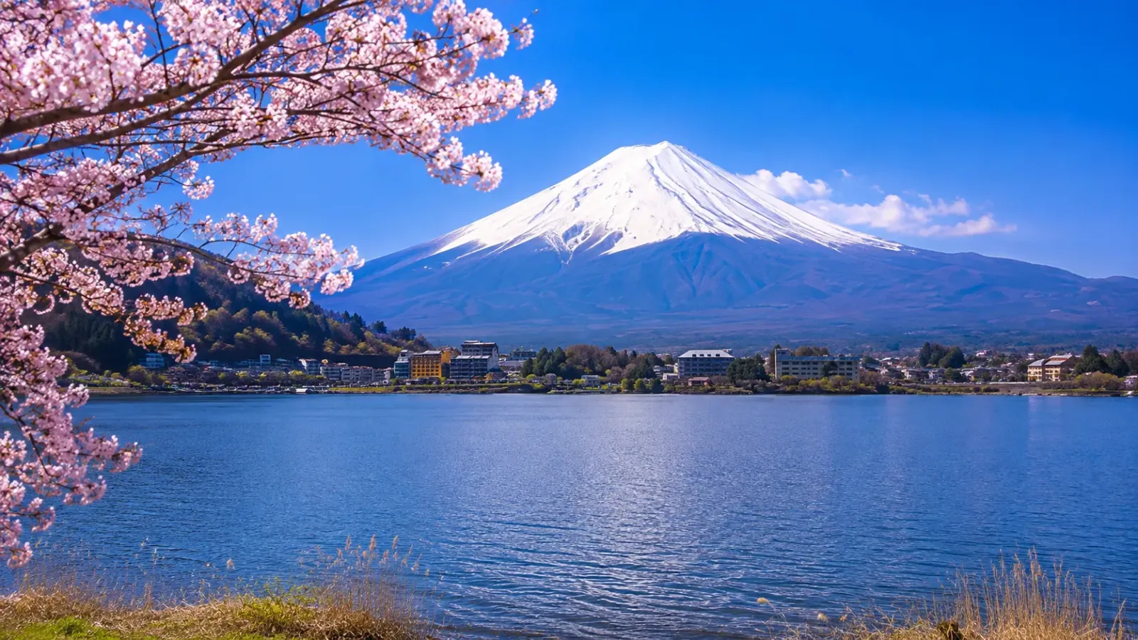 Hồ Kawaguchi và núi Phú Sĩ tại Yamanashi Nhật Bản