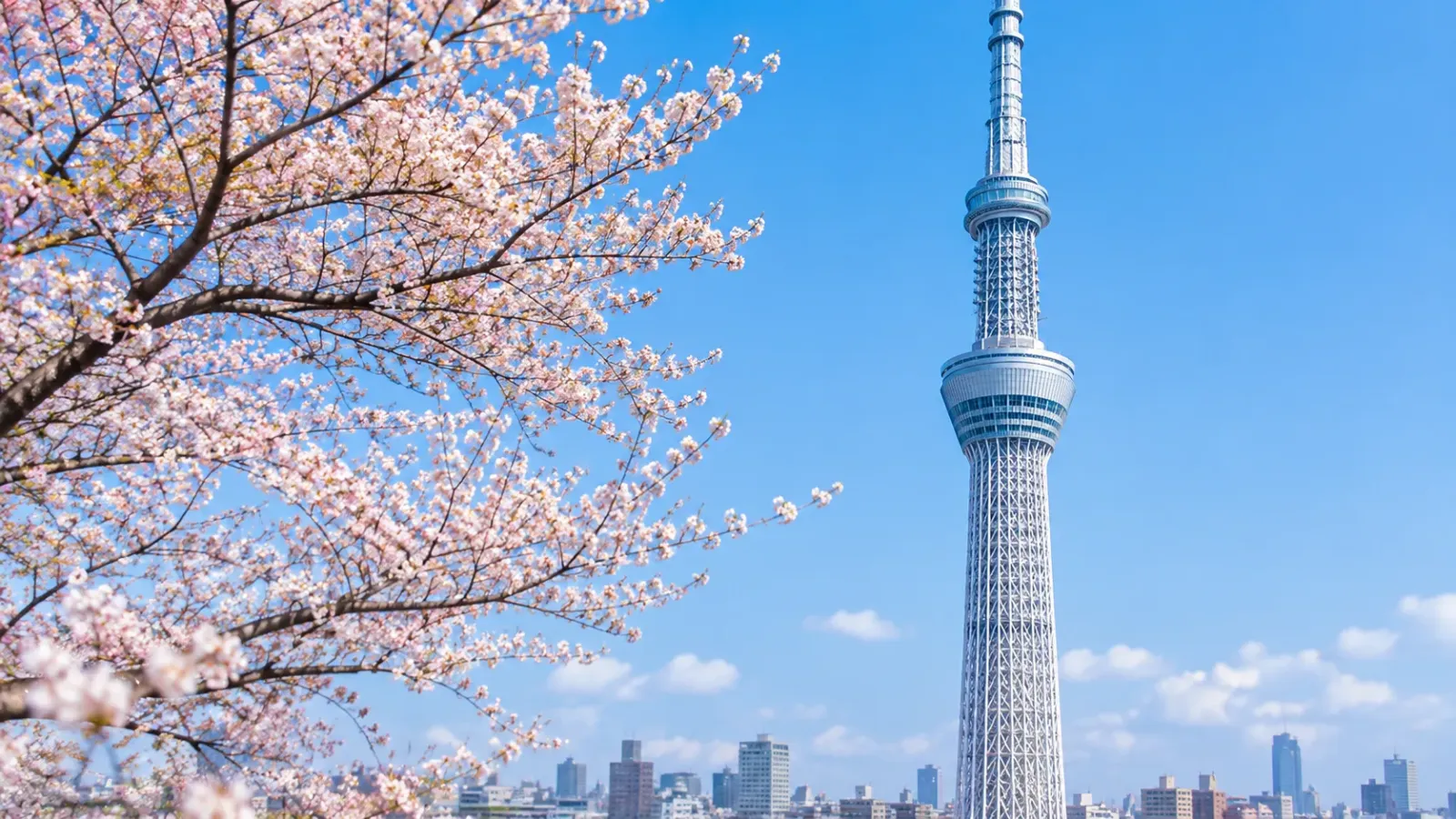 Tokyo Skytree điểm tham quan nổi bật trong tour Nhật Bản