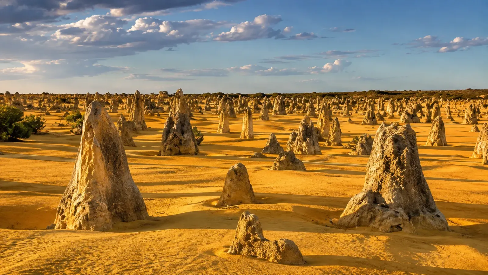 Các cột đá vôi tại Pinnacles Desert trong Vườn quốc gia Nambung Tây Úc