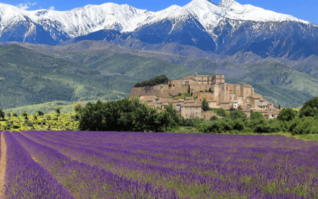 Đắm mình trước vẻ đẹp thơ mộng đầy lãng mạn của vùng Provence nước Pháp