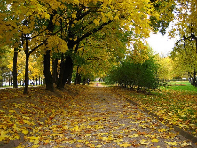 Những con đường mùa thu hà nội