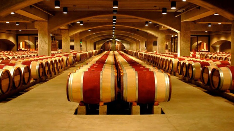 Ghé thăm hầm rượu Chenonceau để thưởng thức rượu vang ngon tuyệt