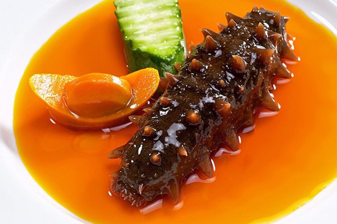 Món ngon hải sâm được xem như món ăn đắt đỏ nhất ở Phú Quốc