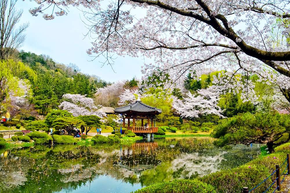 Du lịch Hàn Quốc - Khung cảnh mùa xuân đầy quyến rủ