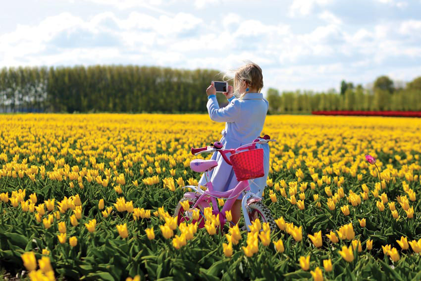 Lễ hội hoa Tulip tại công viên Everland, Hàn Quốc