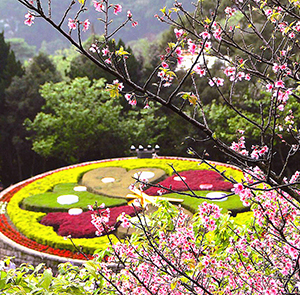 Du lịch Đài Loan ngắm hoa Anh Đào khởi hành từ Tp.HCM