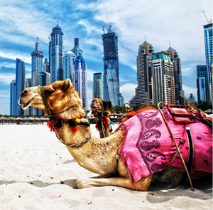 Du lịch Dubai 4 ngày 4 đêm khuyến mại hội chợ VIMT Hà Nội
