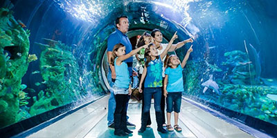 Vé tham quan Siam Ocean World Bangkok