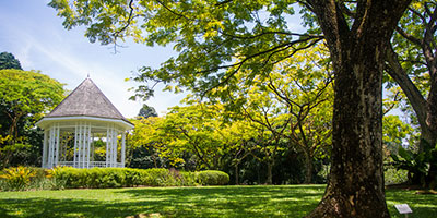 Vé tham quan Singapore đi vườn lan Botanic Garden
