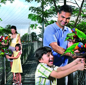 Vé tham quan Singapore vườn chim Jurong