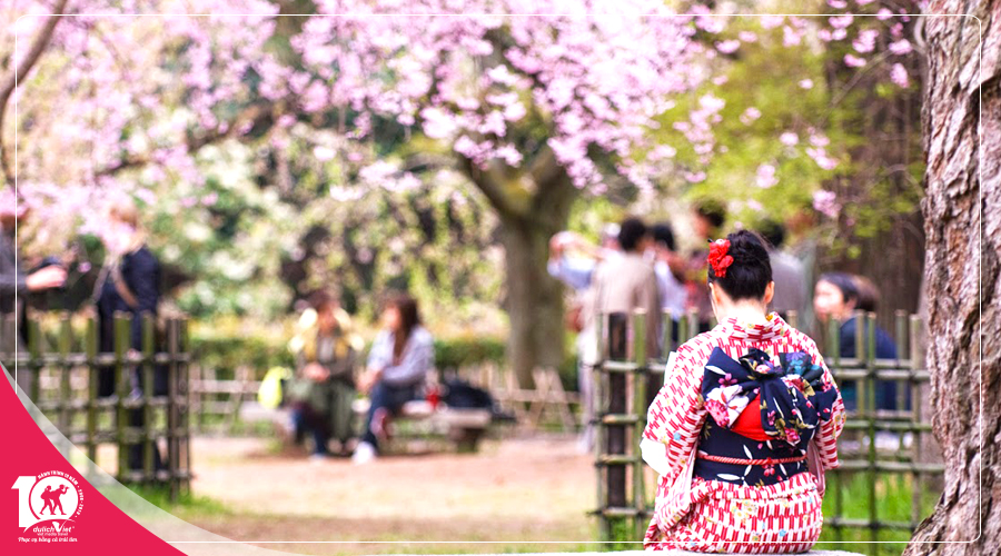 Du lịch Nhật Bản mùa Xuân ngắm hoa anh đào từ Sài Gòn giá tốt 2019