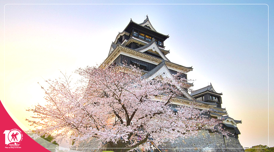 Tour Du lịch Nhật Bản mùa hoa Anh Đào 2019 từ Sài Gòn giá tốt