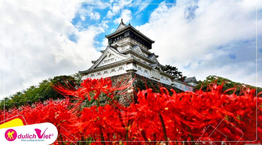 Du lịch Nhật Bản - Tour chiêm ngưỡng hoa Bỉ Ngạn đỏ rực từ Sài Gòn