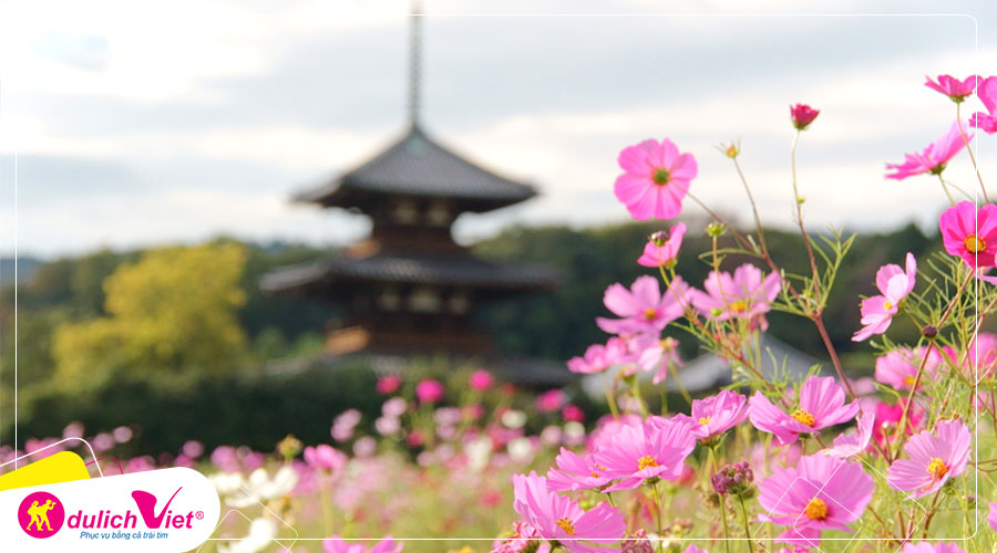 Du lịch Nhật Bản mùa Thu Tokyo - Hakone - Fuji - Odaiba từ Sài Gòn giá tốt