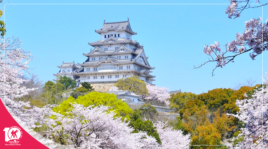 Du lịch Nhật Bản mùa Xuân - Tokyo - Hakone - Fuji - Odaiba từ TPHCM giá tốt 2019