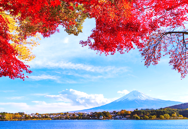 Du lịch Nhật Bản mùa Thu Tokyo - Ibraki - Hakone - Fuji - Odaiba từ Sài Gòn