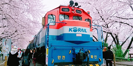 Du lịch Hàn Quốc mùa Xuân khởi hành từ TPHCM giá tốt