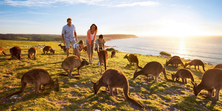 Du lịch Úc - Melbourne - Sydney mùa Xuân khởi hành từ Sài Gòn giá tốt