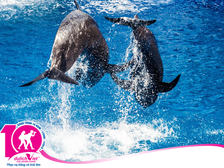 Tour du lá»‹ch hÃ¨ Hoa Ká»³ Los Angeles - Las Vegas khá»Ÿi hÃ&nbsp;nh tá»« SÃ&nbsp;i GÃ²n 2019