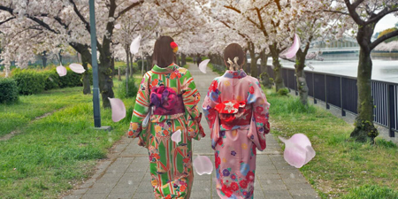 Du lịch Nhật Bản 6 ngày mùa hoa anh đào khởi hành từ Hà Nội