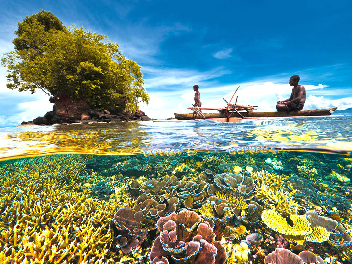 Coral - Thiên đường ngủ quên tại Thái Lan
