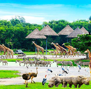 Vé tham quan Safari World Bangkok