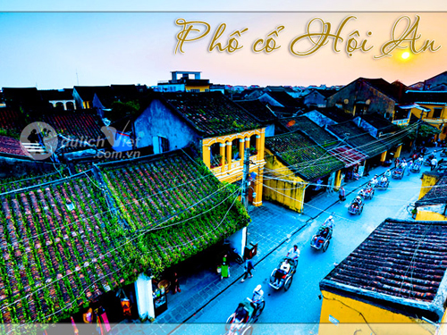 Phản hồi khách hàng sau khi đi tour Miền Trung ngày 21/03/2014