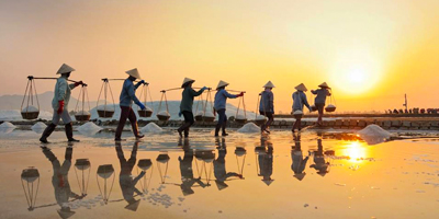 Du lịch Miền Trung - Đảo Bình Hưng - Ninh Chữ Tết Bính Thân 2025