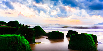 Du lịch Miền Trung - Bình Hưng - Ninh Chữ - Nha Trang Tết 2026