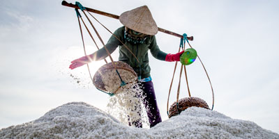 Du lịch Miền Trung - Bình Hưng - Ninh Chữ dịp Lễ giỗ tổ Hùng Vương 10-3