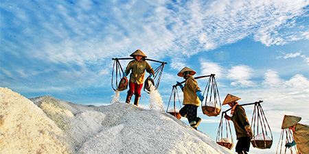 Du lịch Miền Tây - Sóc Trăng 2 ngày 2 đêm  từ Sài Gòn (T4/2025)